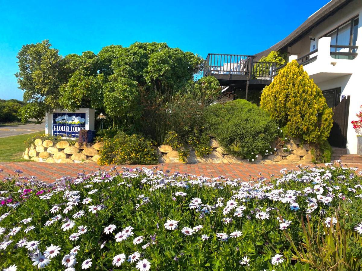 I-Lollo Bed & Breakfast At The River Mouth St. Francis Bay Exterior photo